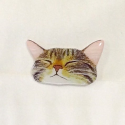 ポケットからのぞく爆睡キジトラ猫のブローチE 4枚目の画像