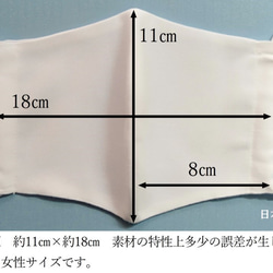 シルクマスク　１点物です。【送料無料】表シルク100％　裏綿100％ 布マスク 立体マスク　シンプル　 7枚目の画像