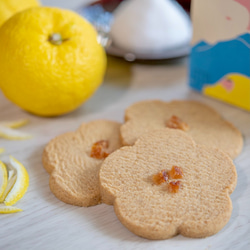かなざわハイカラ クッキー　能登塩とゆず3枚入 2枚目の画像