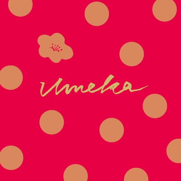 かなざわハイカラ クッキー　能登塩とゆず3枚入 5枚目の画像