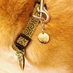 真鍮プレートのペットのネームプレート　犬　猫ドッグタグ　迷子札　手彫り名入れデザイン 3枚目の画像