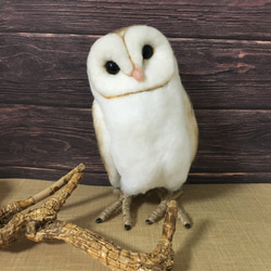 羊毛フェルトのモリフクロウ 羊毛フェルト 雪玉。 通販 11510664