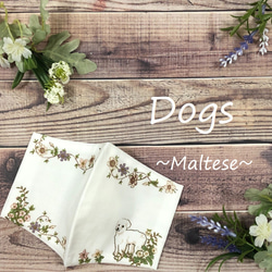 【レディースデザイン立体マスク】Dogs（マルチーズ）犬　女性へのプレゼント・ギフトにも 1枚目の画像