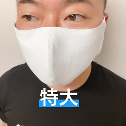 夏マスク　接触冷感　洗える高機能マスク　抗菌　立体縫製　可愛い模様　お洒落なマスク　シルバー 7枚目の画像