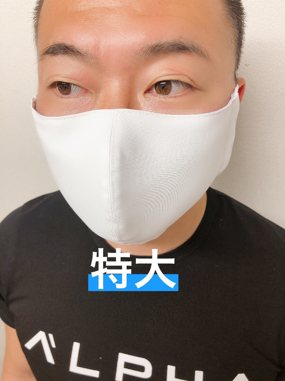 夏マスク　接触冷感　洗える高機能マスク　抗菌　立体縫製　可愛い模様　お洒落なマスク　シルバー 7枚目の画像