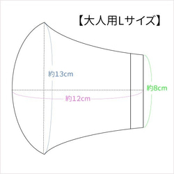  第7張的照片