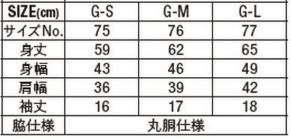  第3張的照片