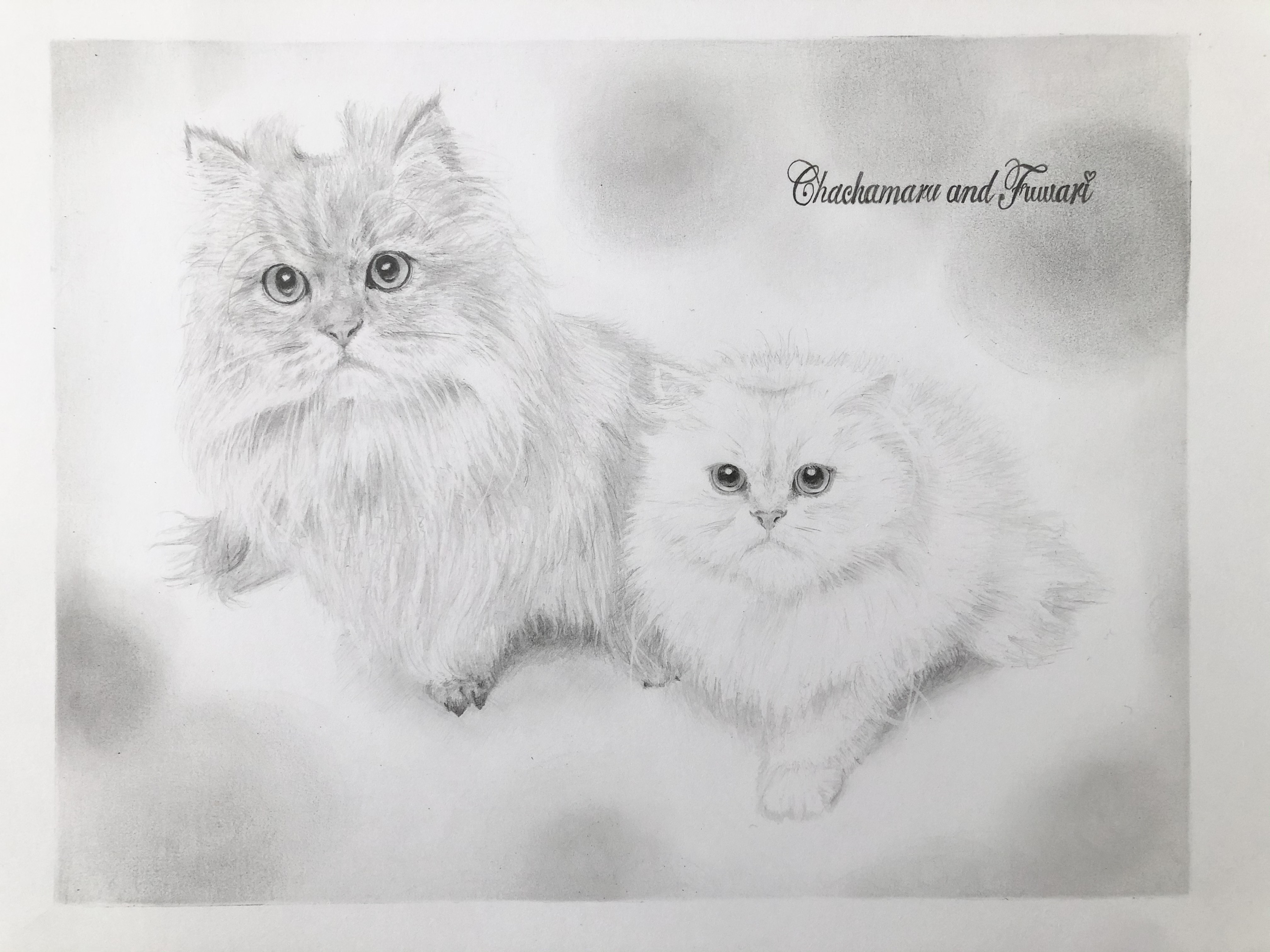 ✏️鉛筆画　人物　ペット　似顔絵　プロフィール　アイコン⭐️ 9,600円