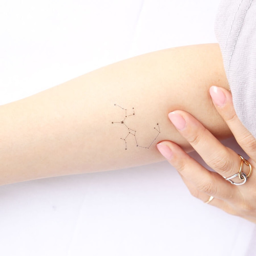 sagittarius 射手座 タトゥーシール (感性デザイン) その他