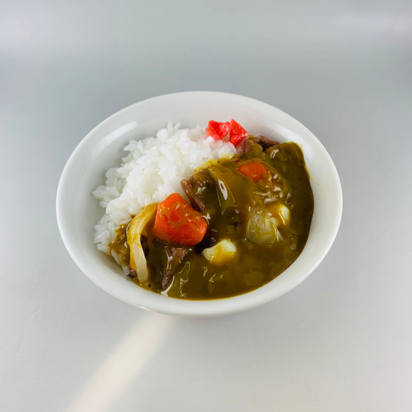 さぁ作るぞ！おうちで体験 食品サンプル  製作キット  カレーライス 1枚目の画像