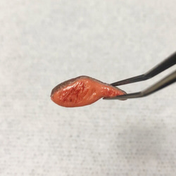 【樹脂粘土】おにぎり 目玉焼きと焼き鮭 クリップ3点セット 静電気防止 4枚目の画像