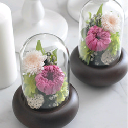 人気ドーム仏花の色違い登場！】 輪菊の美しいガラスドーム付き