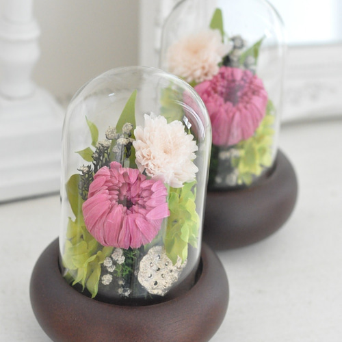 人気ドーム仏花の色違い登場！】 輪菊の美しいガラスドーム付き