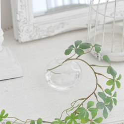 【マジカルウォーターアレンジ】シュガーバインのウォーターアレンジ☆clayガラス使用・観葉植物 6枚目の画像