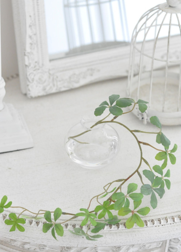 【マジカルウォーターアレンジ】シュガーバインのウォーターアレンジ☆clayガラス使用・観葉植物 6枚目の画像