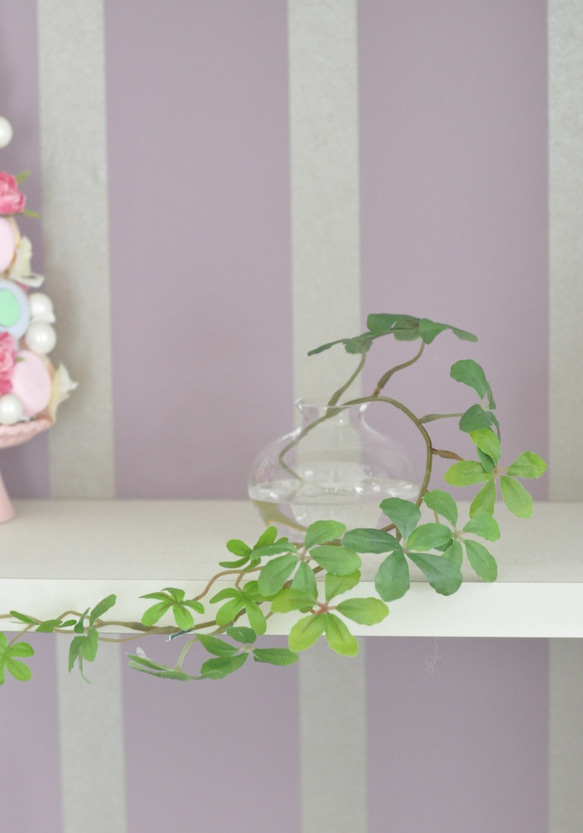 【マジカルウォーターアレンジ】シュガーバインのウォーターアレンジ☆clayガラス使用・観葉植物 5枚目の画像