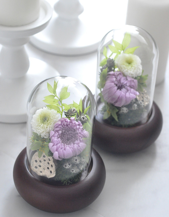 【仏花】再々販・輪菊の美しいガラスドーム付き　プリザーブドフラワー仏花、お供え花 1枚目の画像