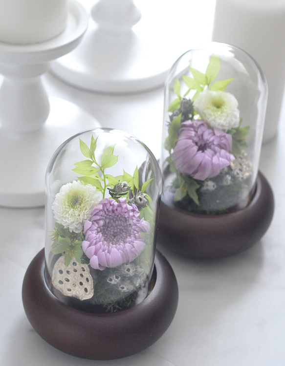 仏花】再々販・輪菊の美しいガラスドーム付き プリザーブド 仏花】再々販・輪菊の美しいガラスドーム付き プリザーブド