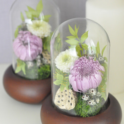 【仏花】再々販・輪菊の美しいガラスドーム付き　プリザーブドフラワー仏花、お供え花 5枚目の画像