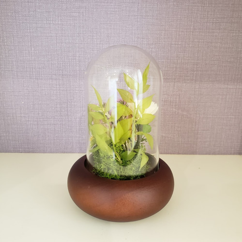 メ*ア様 プリザーブドフラワー ＊ ガラスドーム 対 輪菊 蓮入 ＊ 仏花 お供 プリザーブドフラワー仏花対ガラスドーム大輪菊 - メルカリ
