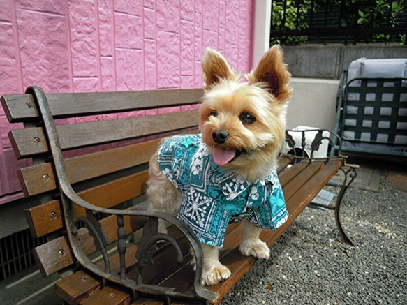 夏！犬の洋服【送料無料】ハワイ産生地使用のアロハシャツ 小型