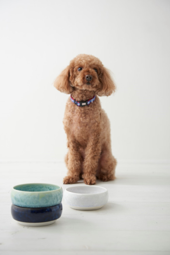 大切なワンちゃんにいい器で食べてもらいたい　花結晶（緑）Paws Bowl(S) 2枚目の画像