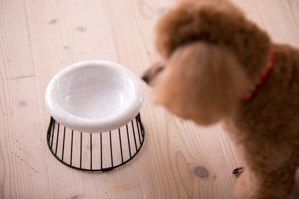 大切なワンちゃんにいい器で食べてもらいたい　花結晶（白）Paws Bowl2(S) 10枚目の画像