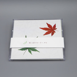 CDサイズの葉っぱのカード・メモ 1枚目の画像