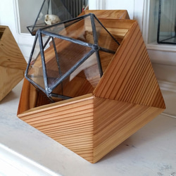 ウッドポット、テラリウム、三角二十面体セット　④ 5枚目の画像