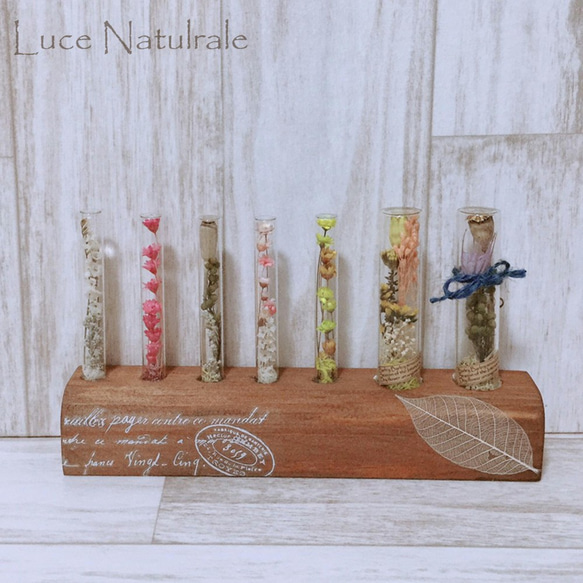 ⭐︎母の日⭐︎ Test tube Art（試験管アート）【BjP027