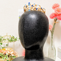 バレエティアラ エスメラルダ・海賊・メドゥーラ その他ヘア