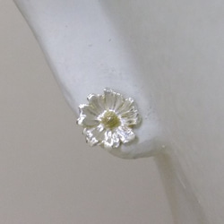 『花の誇り』カモミール＊925/14kgf pierce 3枚目の画像