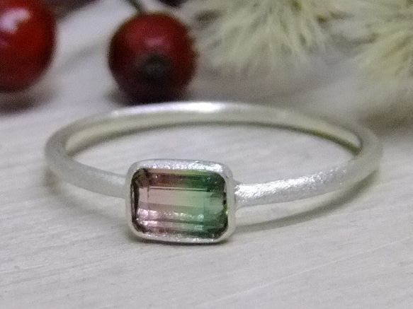 トリカラートルマリン＊925ring 1枚目の画像