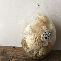 Dry flower terrarium (drop) 1枚目の画像