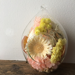 Dry flower terrarium (drop) 3枚目の画像