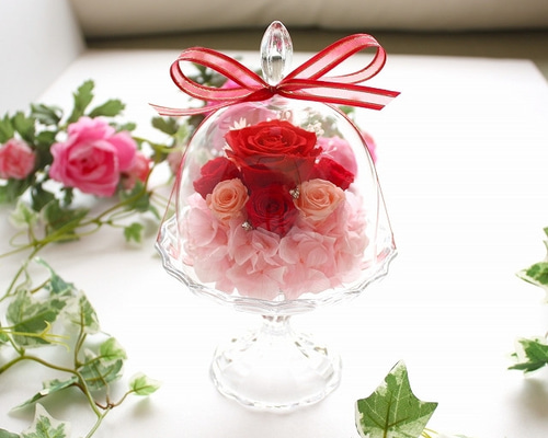 赤い薔薇、ブラザードフラワードー ム型24✖️20 赤い薔薇、ブラザードフラワードー ム型24✖️20 glass-dome