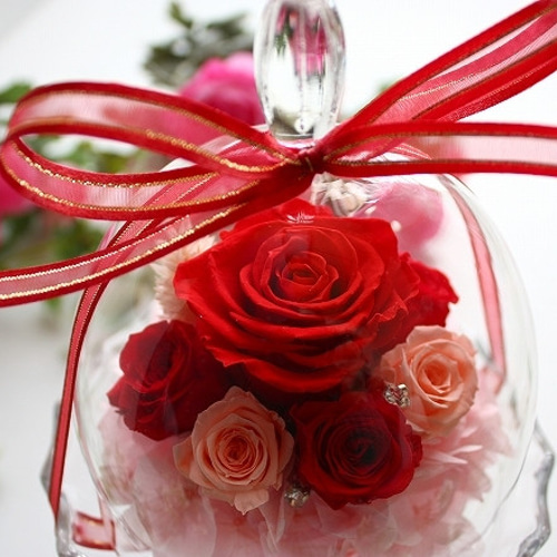 NEW☆Mignonミニョン赤プリザーブドフラワー】ガラスドーム