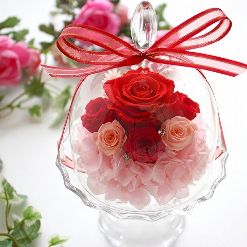NEW☆Mignonミニョン赤プリザーブドフラワー】ガラスドーム
