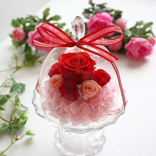 NEW☆Mignonミニョン赤プリザーブドフラワー】ガラスドーム