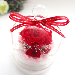 プリザーブドフラワー ガラスドーム レッド 赤 結婚式 ブリザードフラワー 花 プリザ ばら お供え ペット供養 2枚目の画像