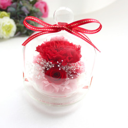 プリザーブドフラワー ガラスドーム レッド 赤 結婚式 ブリザードフラワー 花 プリザ ばら お供え ペット供養 3枚目の画像