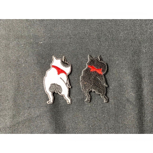 ◾️French  bulldog 2枚目の画像