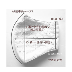  第6張的照片