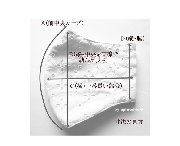  第6張的照片