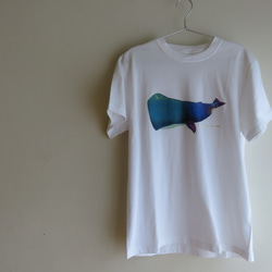 Mサイズ Tシャツ『真夜中のクジラ』 1枚目の画像
