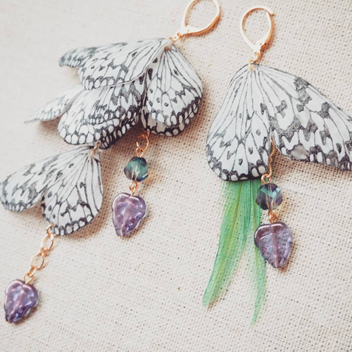 うさこさまオーダー作品ﾋﾟｱｽ『群蝶』オオゴマダラ ピアス（フック  