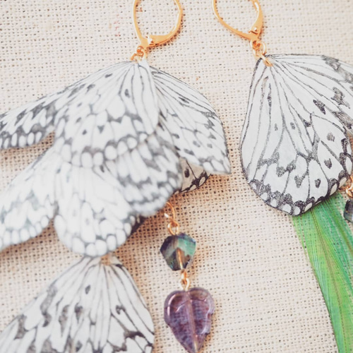 うさこさまオーダー作品ﾋﾟｱｽ『群蝶』オオゴマダラ ピアス（フック  