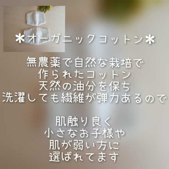 残り僅か　６type✻つめたい！？痒くないの！？冷感敏感肌✻summerワッフルマスクカバー　2size 7枚目の画像