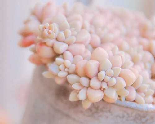 1_bdc2468d177486219daf7f81d78b