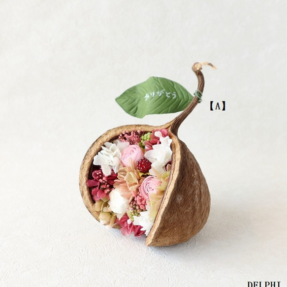 ブッダナッツのアレンジメント（ラズベリーとバラ）A【プリザーブドフラワー】インテリア雑貨 2枚目の画像